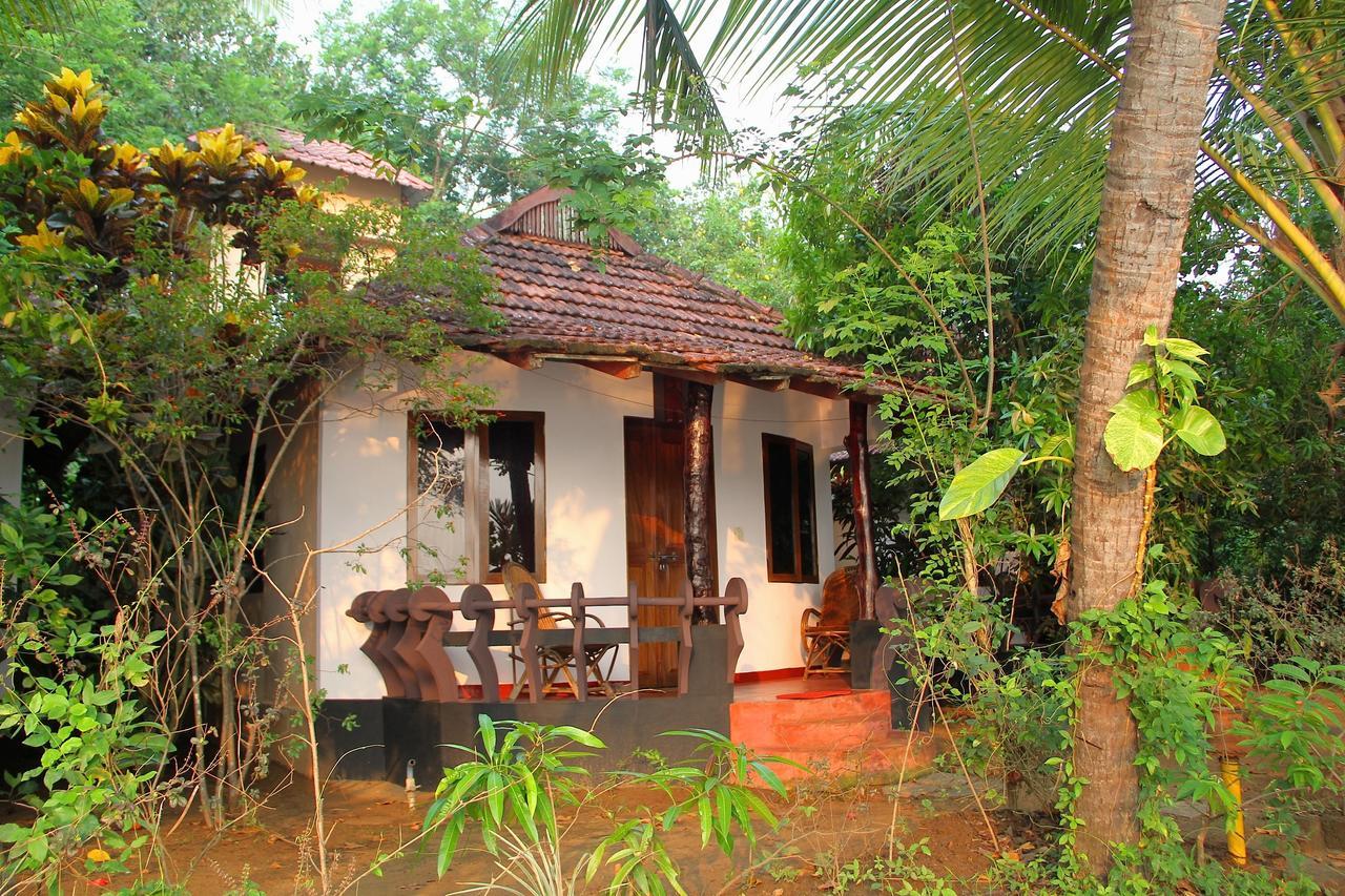 Big Banana Island Retreat Hotel North Paravur Eksteriør billede