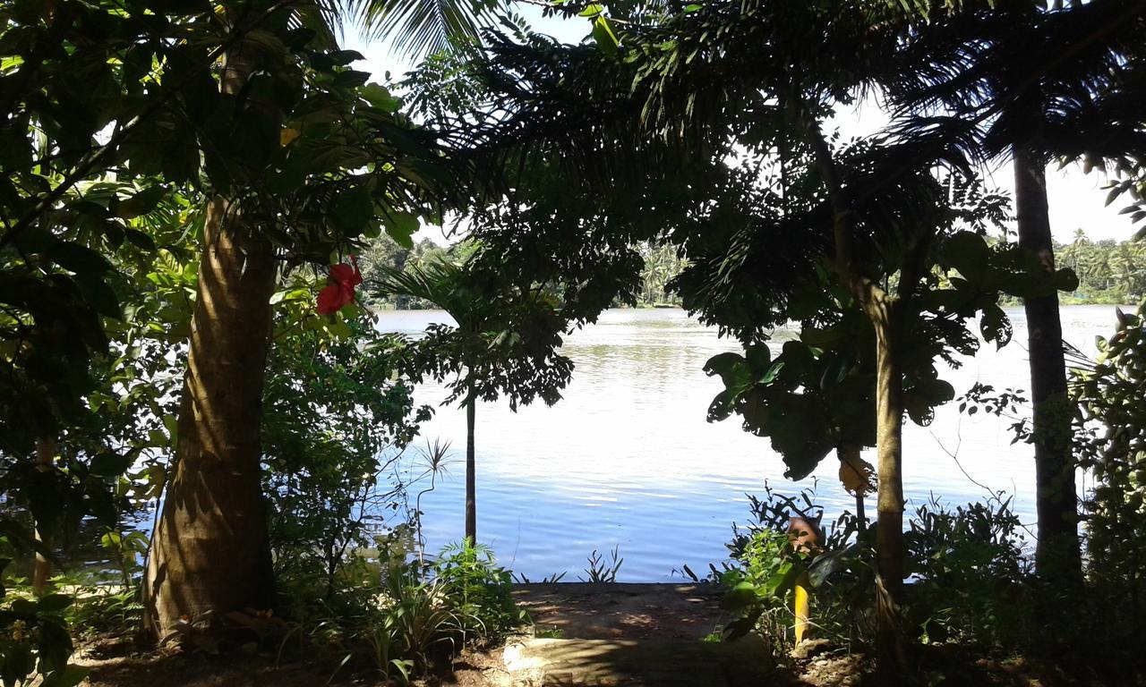 Big Banana Island Retreat Hotel North Paravur Eksteriør billede
